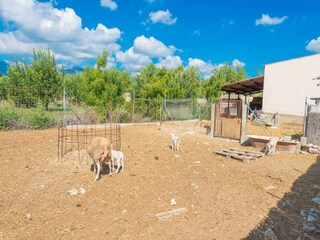 Villa Biniamar Outdoor Recording 44