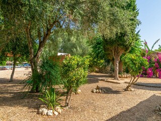 Villa Cas Concos  6