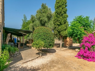 Villa Cas Concos  39