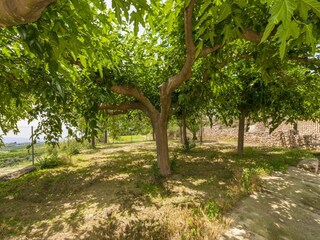 Villa La Drova  26