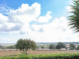 Villa Es Llombards Buitenaudio-opname 22