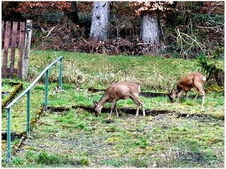 Besucher hinter dem Haus