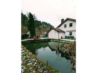 IMG-20250109-WA0024