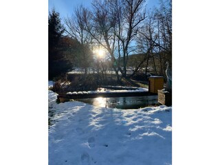 Teich Schnee Sonne