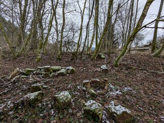 IMG-20250109-WA0023