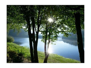 Blick auf den Rursee