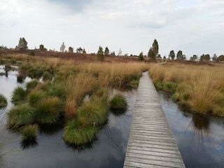 Naturpark Hohes Venn