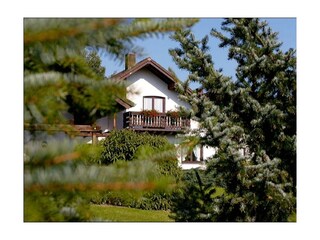 Ferienhaus Rursee Außenansicht