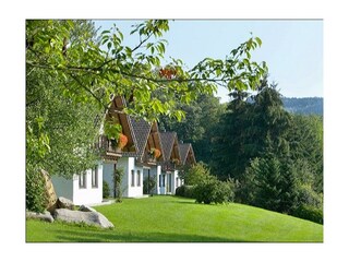Ferienhaus Rursee Außenansicht