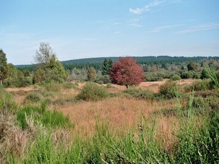 Naturpark Hohes Venn