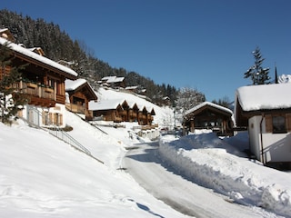 Ferienpark Wald im Pinzgau Außenaufnahme 10