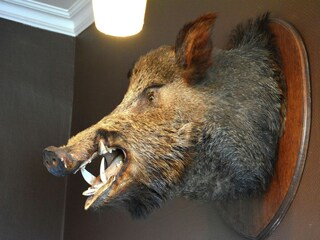 Vakantiehuis Vielsalm  43