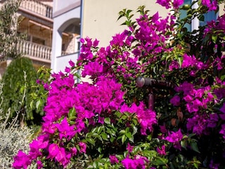 Appartamento Kraljevica Ambiente 24