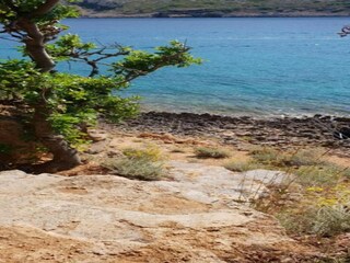 Appartement Kampor Omgeving 20