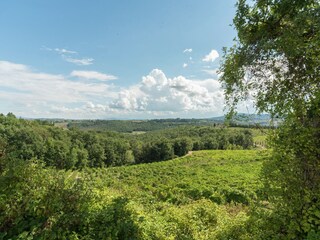 Maison de vacances Certaldo Environnement 24