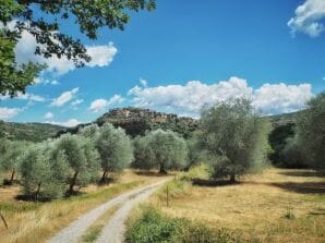 Landhaus Olivella - Seggiano - image1