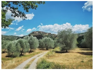 Il fascino di Seggiano catturato dal sentiero collinare