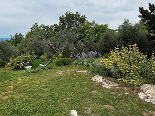 Giardino privato con tranquillità e natura