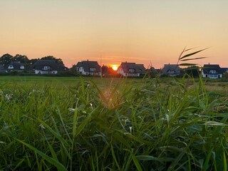 Vakantiehuis Zinnowitz Buitenaudio-opname 8