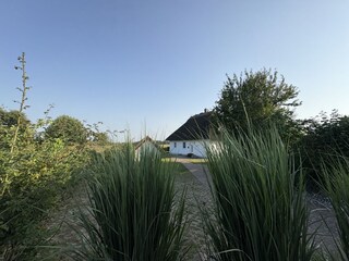 Casa de vacaciones Zinnowitz Grabación al aire libre 16