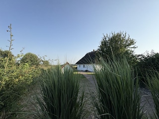 Ferienhaus Zinnowitz Außenaufnahme 13