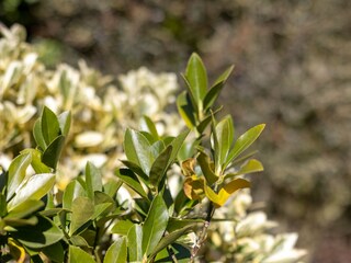 Casa per le vacanze Kamperland Registrazione all'aperto 7