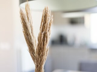 Casa de vacaciones Kamperland Características 18