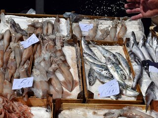 Type de propriété : Chalet Carlentini Environnement 28