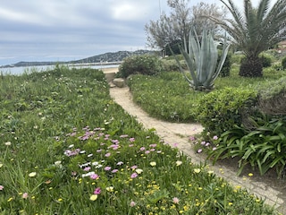 Ferienwohnung Grimaud Außenaufnahme 11