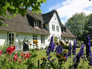 Das Haus mit Blumenmeer