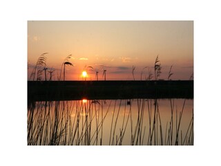 Sonnenuntergang am Deich in Uelvesbüll