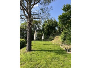 Ferienwohnung Torri del Benaco Außenaufnahme 7