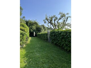 Ferienwohnung Torri del Benaco Außenaufnahme 6