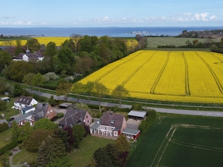 Die Ostsee ist nur 800m entfernt!