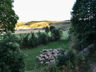 Appartement Florac  25