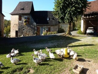 Appartement Noailhac  10