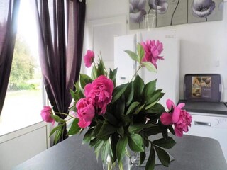 Appartement Chasteaux  26