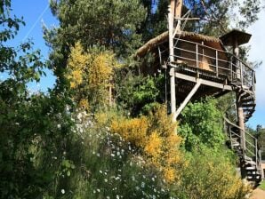 Apartment Charmante H�tte f�r 2 Erwachsene + 2 Kinder bis 12 Jahre mit Blick auf den Wald - Tulle - image1