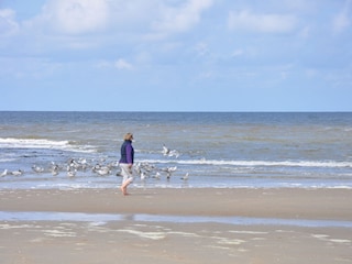 Vakantiehuis Julianadorp Omgeving 21