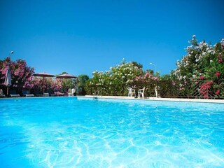 Apartment Ajaccio  8