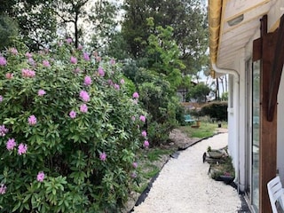 Appartement Biscarrosse-Plage  11