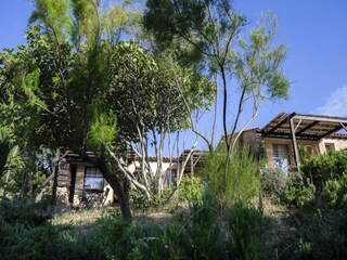 Apartment Serra-di-Ferro  7