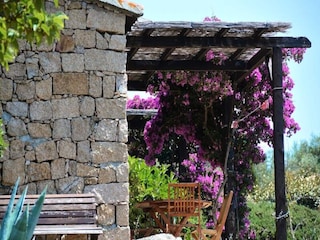 Apartment Serra-di-Ferro  6