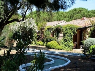 Appartement Serra-di-Ferro  7