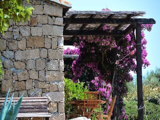Apartment Serra-di-Ferro  14