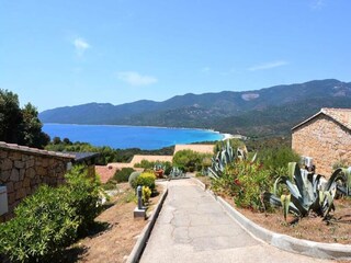 Appartement Serra-di-Ferro  19