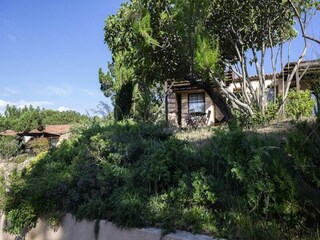 Apartment Serra-di-Ferro  2