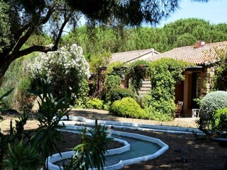 Apartment Serra-di-Ferro  12