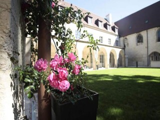 Appartement Dijon  8