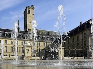 Apartment Dijon  11